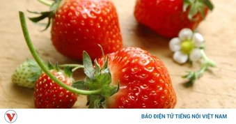 Việt Nam có thứ quả đỏ tươi đang vào mùa, ăn mỗi ngày khỏe mạnh lại trẻ lâu