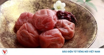 Việt Nam có “thuốc bổ mùa xuân”, ăn vào chua dịu lại dưỡng gan, bổ tim cực tốt
