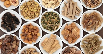 Việt Nam có trên 5.000 loài cây thuốc