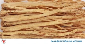 Việt Nam có “vị thuốc đại bổ”, dùng thường xuyên nâng tầm sức khỏe ít người biết