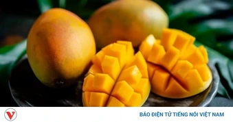 Việt Nam có “vua của các loại trái cây”, ăn vào bổ dưỡng, chống lão hóa cực tốt