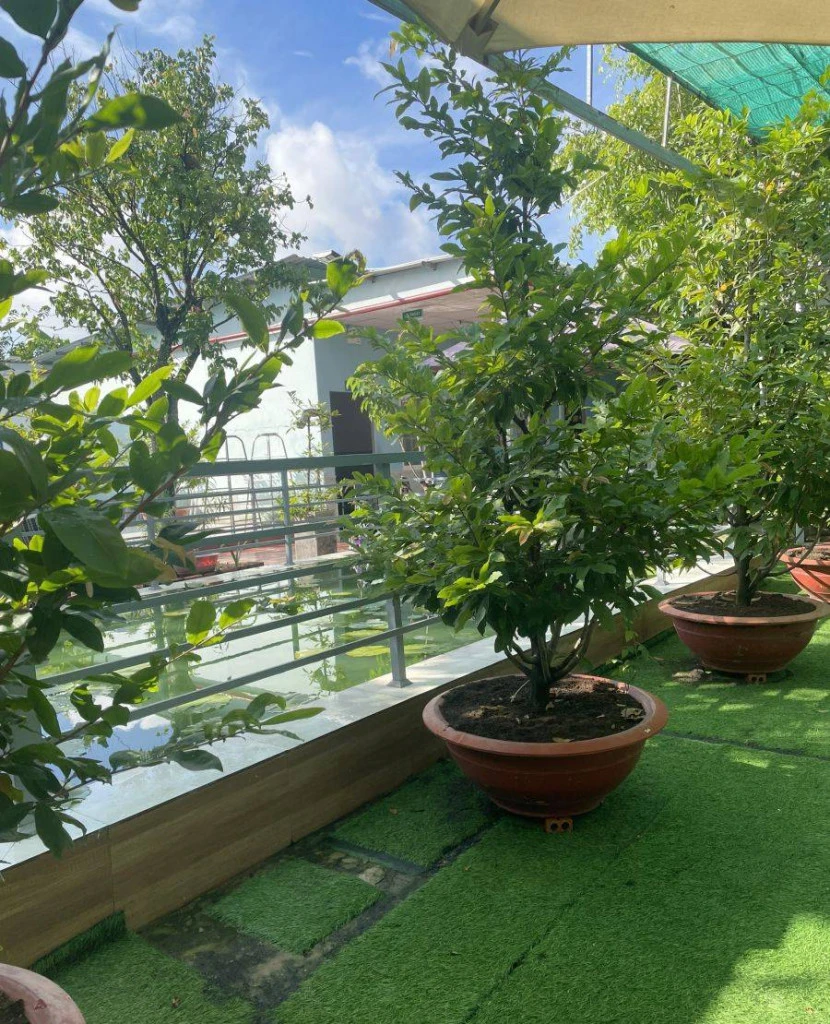 Việt Nam đã có "nhà dưỡng lão" cực xanh mát, nhiều hồ nước và khuôn viên rộng rãi: Tổ chức sinh nhật đủ đầy hàng tháng, nhận chăm sóc trọn đời từ 500 triệu Việt Nam đã có "nhà dưỡng lão" cực xanh mát, nhiều hồ nước và khuôn viên rộng rãi: Tổ chức sinh nhật đủ đầy hàng tháng, nhận chăm sóc trọn đời từ 500 triệu