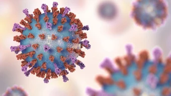 Virus RSV - 'kẻ kích hoạt' cơn đau tim, đột quỵ ở người có bệnh nền