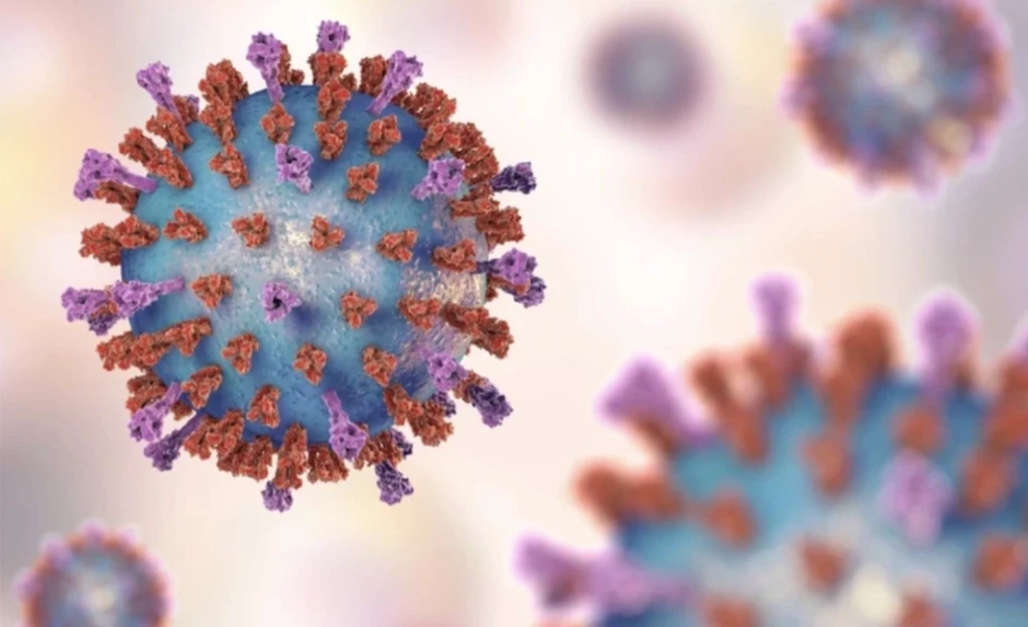 Virus RSV - 'kẻ kích hoạt' cơn đau tim, đột quỵ ở người có bệnh nền