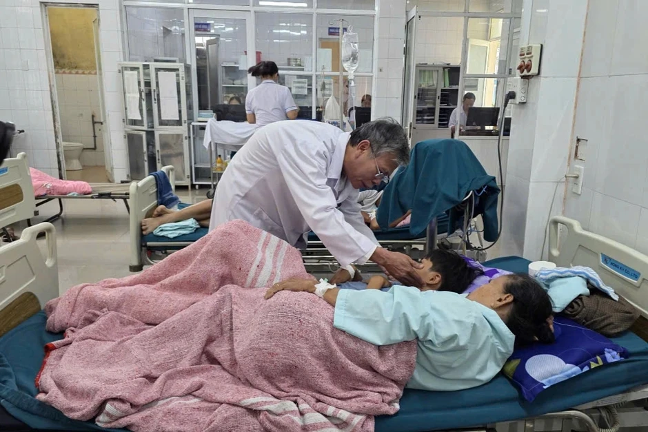 Vụ 46 người nhập viện sau khi ăn bánh mì: Phát hiện nhiều chủng vi khuẩn Vụ 46 người nhập viện sau khi ăn bánh mì: Phát hiện nhiều chủng vi khuẩn