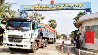 Xây dựng nghị quyết mới tạm ngưng hiệu lực Nghị định 46 và Nghị quyết 66.13 về an toàn thực phẩm