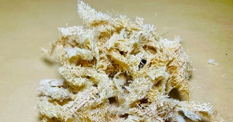 Xơ mướp - thứ tưởng bỏ đi lại là vị thuốc