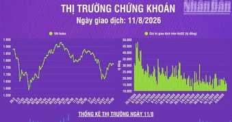 [Infographic] Chứng khoán ngày 11/8: VN-Index giảm nhẹ hơn 3 điểm, thanh khoản thị trường giảm
