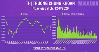 [Infographic] Chứng khoán ngày 12/8: VN-Index tăng gần 20 điểm, khối ngoại mua ròng 314,4 tỷ đồng trên HoSE