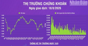 [Infographic] Chứng khoán ngày 18/8: VN-Index tăng 4,56 điểm, thanh khoản thị trường tăng