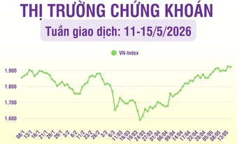 [Infographic] VN-Index tiếp tục có tuần thứ 8 liên tiếp tăng điểm từ vùng đáy quanh 1.600 điểm lên vùng giá 1.920 điểm