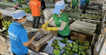Bầu Đức tiếp tục chi hơn 60 tỉ đồng mua cổ phiếu Hoàng Anh Gia Lai