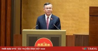 Bộ trưởng Bộ Tài chính: Đang tồn đọng 200.000 ha đất và 3,3 triệu tỷ đồng