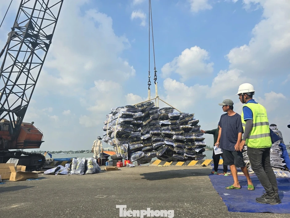 Cần Thơ thu 2.600 tỷ từ xổ số chỉ sau 2 tháng