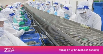 Cảnh 'bi đát' của công ty đầu tiên báo lỗ quý II