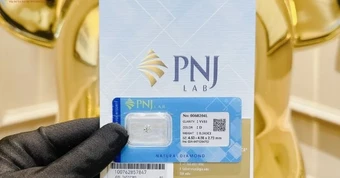 Choáng: Sếp PNJ-Lab từng khoe kiểm định 10.000 sản phẩm mỗi tháng, những viên kim cương triệu USD được chứng nhận bằng một tờ giấy