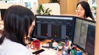 Chứng khoán ngày 25/5: Thanh khoản sụt giảm mạnh, VN-Index vẫn tăng gần 9 điểm nhờ bất động sản và ngân hàng