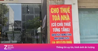 Có nhiều nhà cho thuê, doanh thu trên 1 tỷ đồng/năm nộp thuế ra sao?