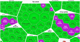 Cổ phiếu điện tăng trần hàng loạt, VN-Index tăng hơn 43 điểm