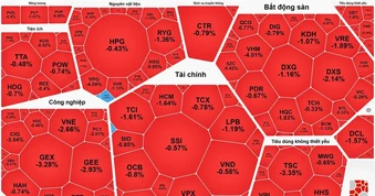 Cổ phiếu ngân hàng khởi sắc, VN-Index vẫn giảm điểm