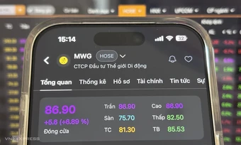 Cổ phiếu Thế Giới Di Động tăng trần