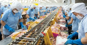 Con trai 'vua cá rô phi' lần thứ 3 mua thêm 1 triệu cổ phiếu ANV khi thị giá giảm gần 40% từ đầu năm