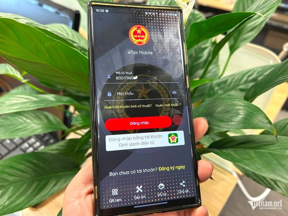 Cục Thuế nêu hướng xử lý việc người có nhiều mã số thuế