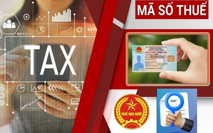 Cục Thuế phát cảnh báo nóng: Cho mượn CCCD để lập doanh nghiệp, bỏ địa chỉ kinh doanh, chưa giải thể đúng quy định sẽ bị rà soát Cục Thuế phát cảnh báo nóng: Cho mượn CCCD để lập doanh nghiệp, bỏ địa chỉ kinh doanh, chưa giải thể đúng quy định sẽ bị rà soát
