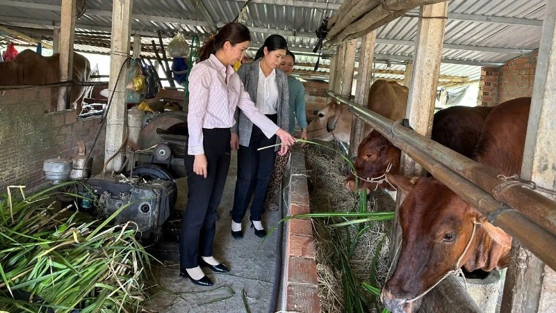 Dấu ấn nổi bật trong hoạt động tín dụng chính sách tại An Khê Dấu ấn nổi bật trong hoạt động tín dụng chính sách tại An Khê