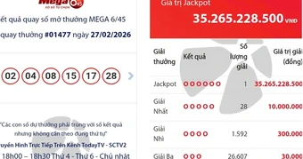 Đầu năm Bính Ngọ, vé số Mega 6/45 của Vietlott trúng giải Jackpot