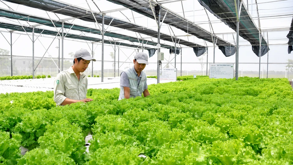 Doanh nghiệp hợp lực phát triển kinh tế - Bài cuối: Khơi thông dòng vốn để tăng tốc Doanh nghiệp hợp lực phát triển kinh tế - Bài cuối: Khơi thông dòng vốn để tăng tốc