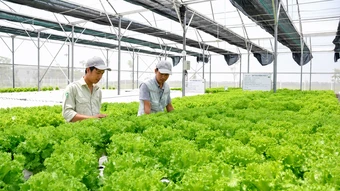 Doanh nghiệp hợp lực phát triển kinh tế - Bài cuối: Khơi thông dòng vốn để tăng tốc