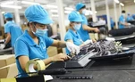 Doanh nghiệp nhỏ và vừa kiến nghị 