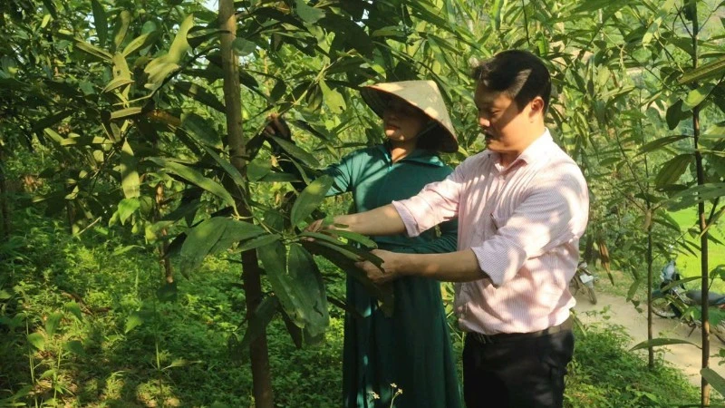 Dòng chảy tín dụng chính sách nơi trung du miền núi Thái Nguyên Dòng chảy tín dụng chính sách nơi trung du miền núi Thái Nguyên