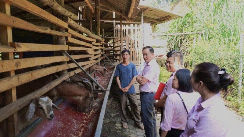 Dòng chảy tín dụng chính sách nơi trung du miền núi Thái Nguyên Dòng chảy tín dụng chính sách nơi trung du miền núi Thái Nguyên