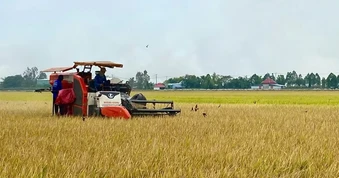 Đưa carbon trở thành tài sản