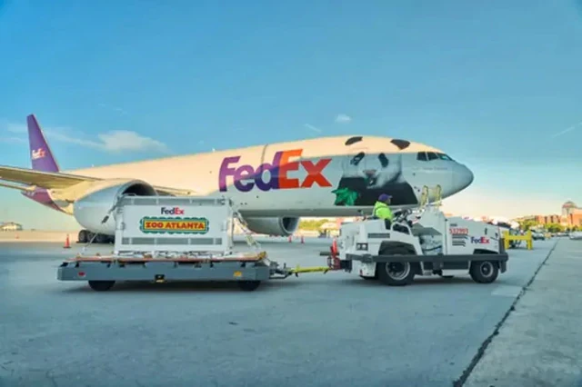 Đúng 7h sáng, một máy bay Boeing 777F từ Trung Quốc chở “quốc bảo” 6 tuổi đến Mỹ
