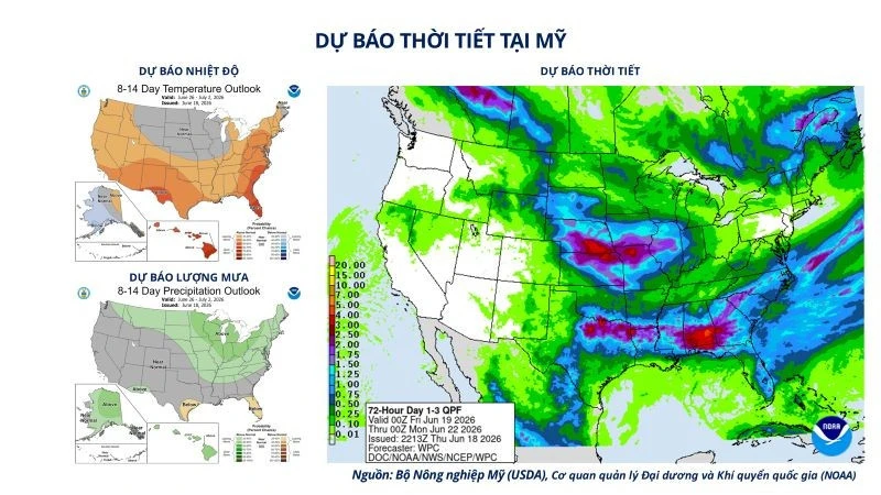Giá bạc lao dốc hơn 6%, MXV-Index mất hơn 1,5% Giá bạc lao dốc hơn 6%, MXV-Index mất hơn 1,5%