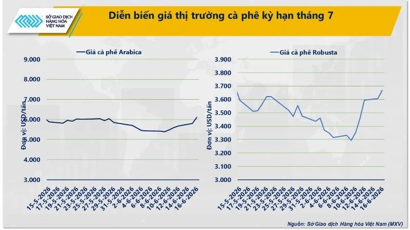 Giá dầu lao dốc kéo MXV-Index giảm, cà-phê nối dài đà tăng Giá dầu lao dốc kéo MXV-Index giảm, cà-phê nối dài đà tăng