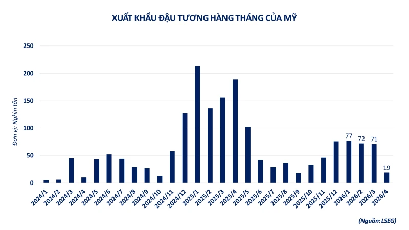 Giá năng lượng lao dốc kéo chỉ số MXV-Index suy yếu, dòng tiền ‘chảy’ vào đậu tương Giá năng lượng lao dốc kéo chỉ số MXV-Index suy yếu, dòng tiền ‘chảy’ vào đậu tương