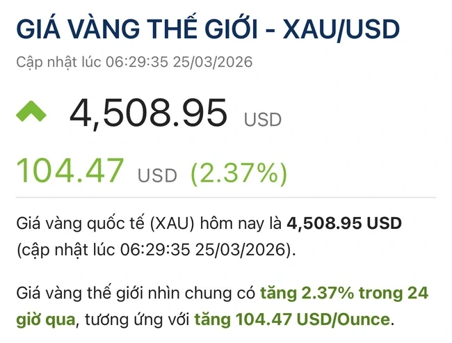 Giá vàng hôm nay, 25-3: Tiếp tục đi lên