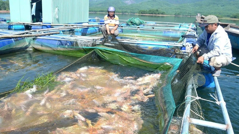 Giữ vững mạch chảy tín dụng chính sách