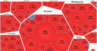 Khối ngoại mua ròng, VN-Index giảm mạnh trong phiên đầu tiên nâng hạng
