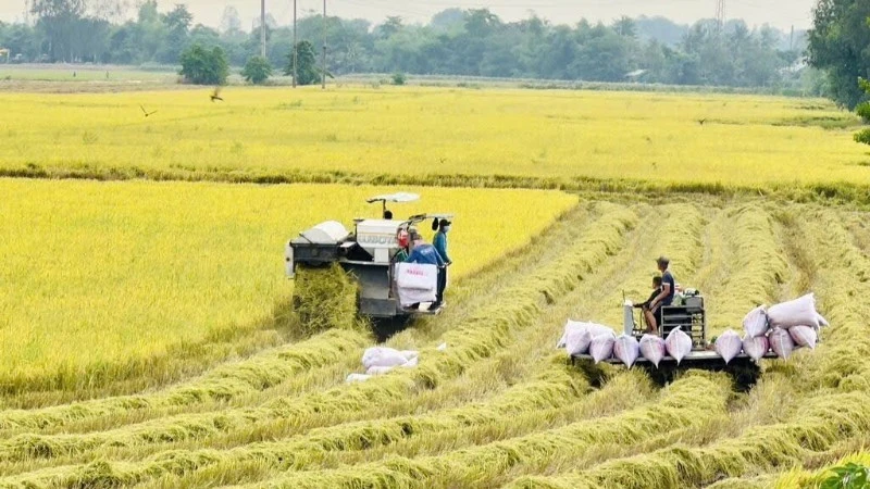 Lan tỏa sức mạnh dòng vốn ưu đãi ở An Giang