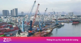 Loạt doanh nghiệp tên tuổi bị hủy tư cách đại chúng