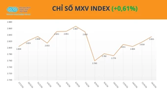 Lực mua giành ưu thế, MXV-Index nối dài đà tăng