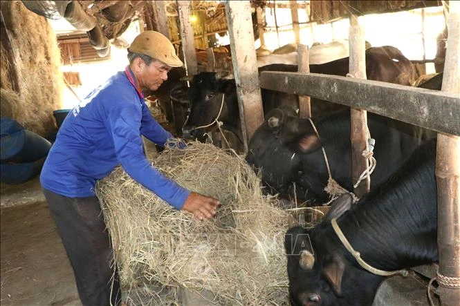 Mở rộng nguồn vốn hỗ trợ người dân Mở rộng nguồn vốn hỗ trợ người dân