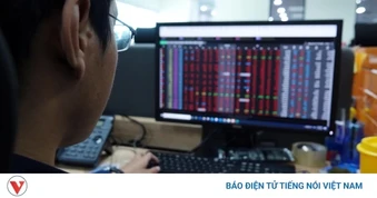 Một số cổ phiếu cần quan tâm ngày 22/6: Cơ hội đầu tư tiềm năng với IDC và MSN