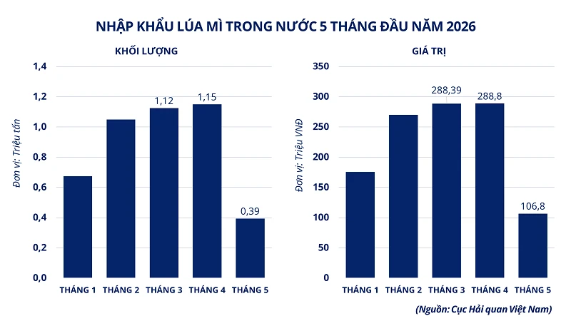MXV-Index phục hồi, dòng tiền tìm đến lúa mì và bạc MXV-Index phục hồi, dòng tiền tìm đến lúa mì và bạc