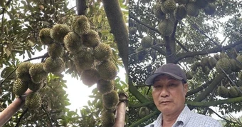 Người nông dân Đắk Lắk thu 15 tỷ/năm nhờ thứ quả 'ngửi thì nồng, ăn thì nghiện': Làm nông nghiệp tử tế, người Việt không thể nghèo